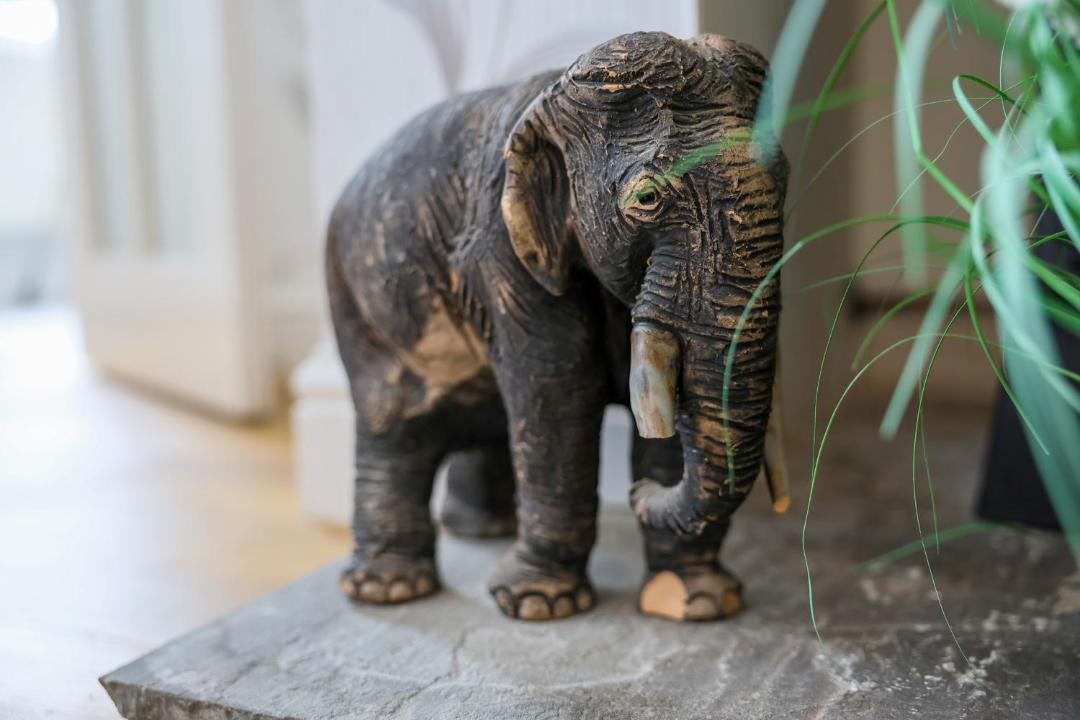 Photo of Others in Pitchcombe