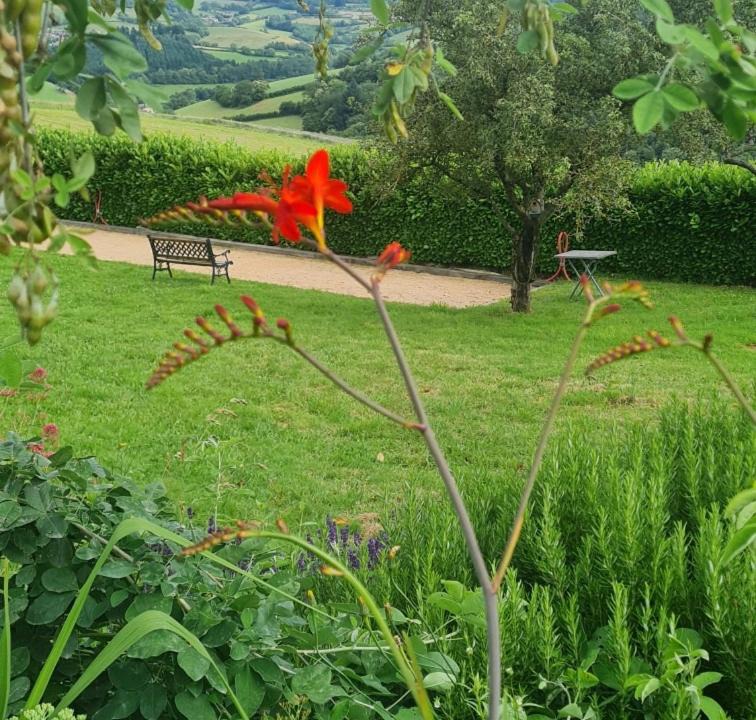 Photo of Others in Ouroux