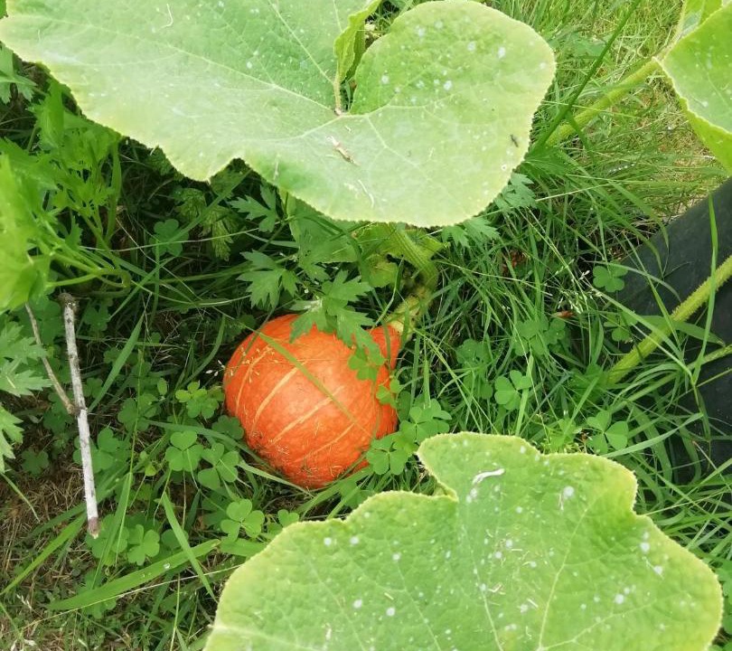 Photo of Outdoor in Artassenx