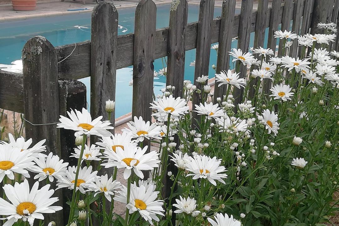 Photo of Others in Artassenx