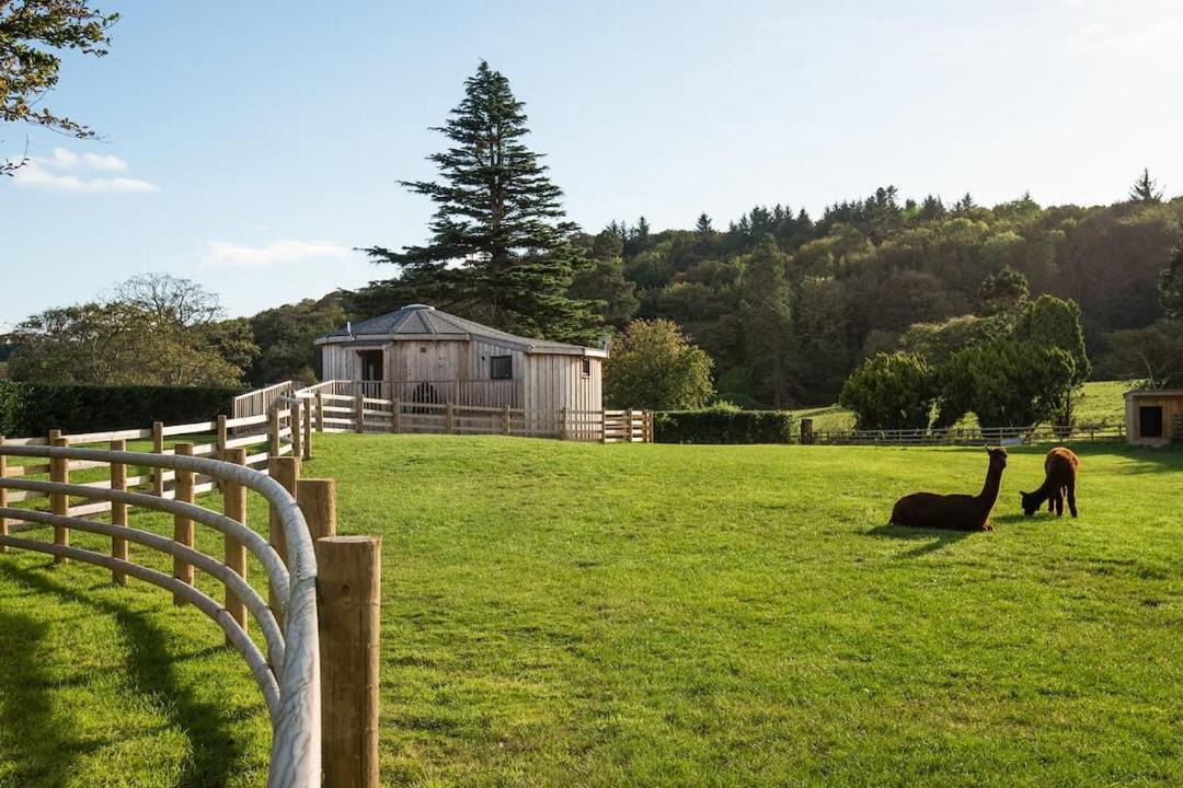 Photo of Others in Cockburnspath