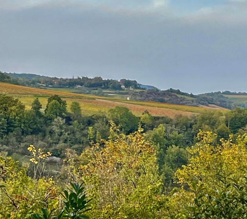 Photo of Others in Auxey-Duresses