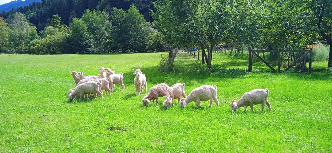 Photo of Outdoor in Fougax-et-Barrineuf