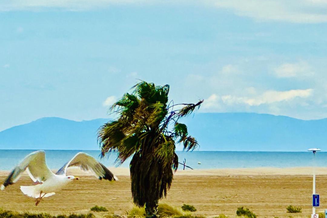 Photo of Others in Gruissan Plage