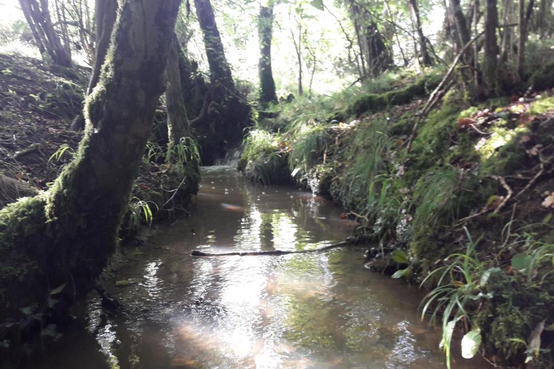 Photo of Others in North Perrott