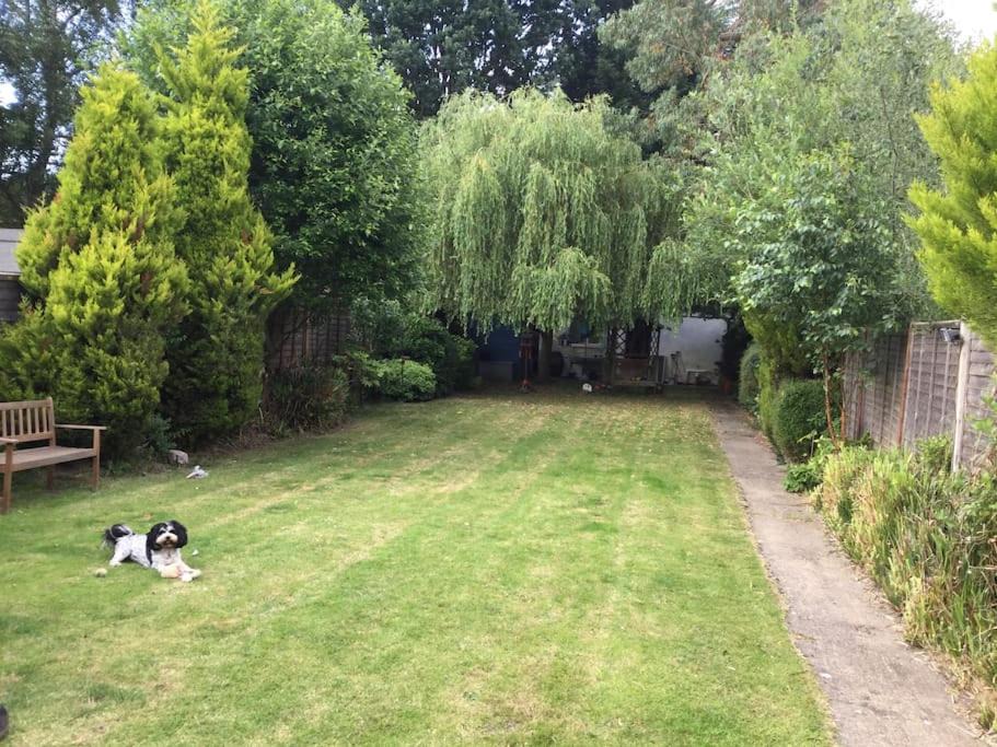 Photo of Others in Winkfield