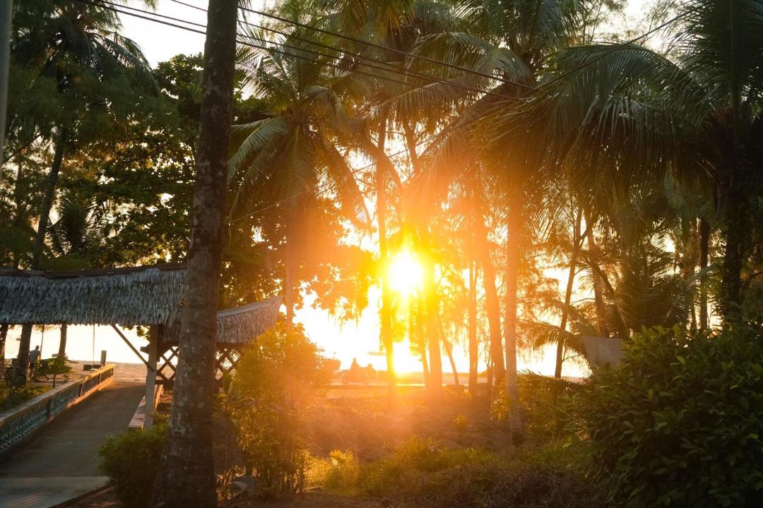 Photo of Others in Tioman Island