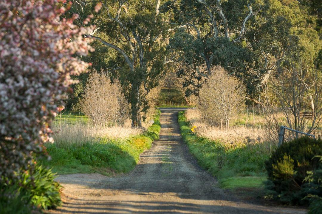 Photo of Others in Sampson Flat