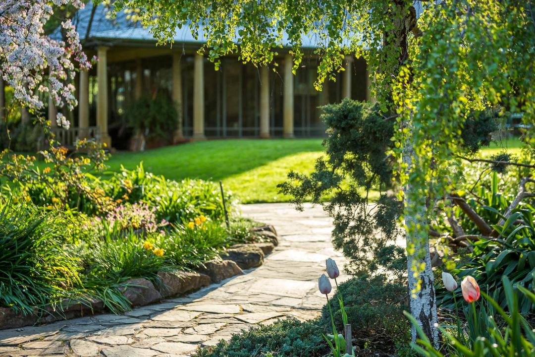 Photo of Others in Sampson Flat