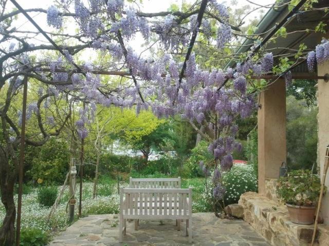 Photo of Others in Sampson Flat