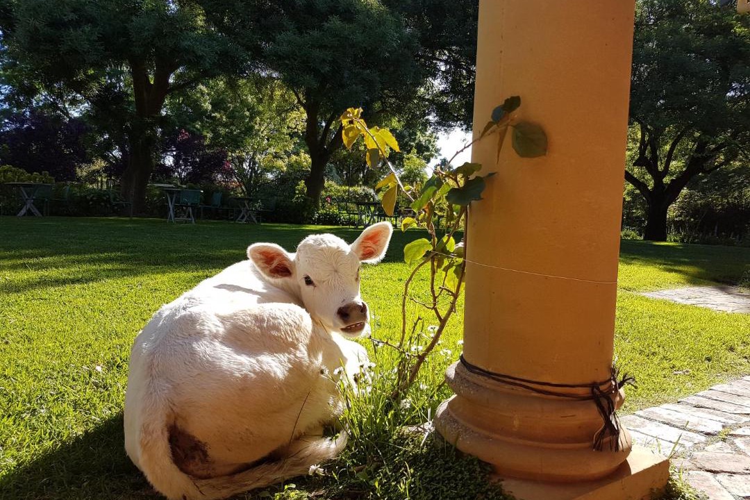 Photo of Others in Sampson Flat