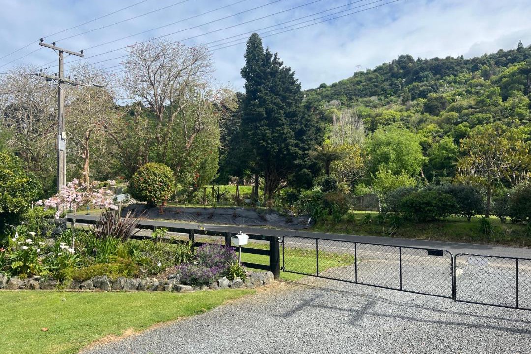 Photo of Others in Tapu