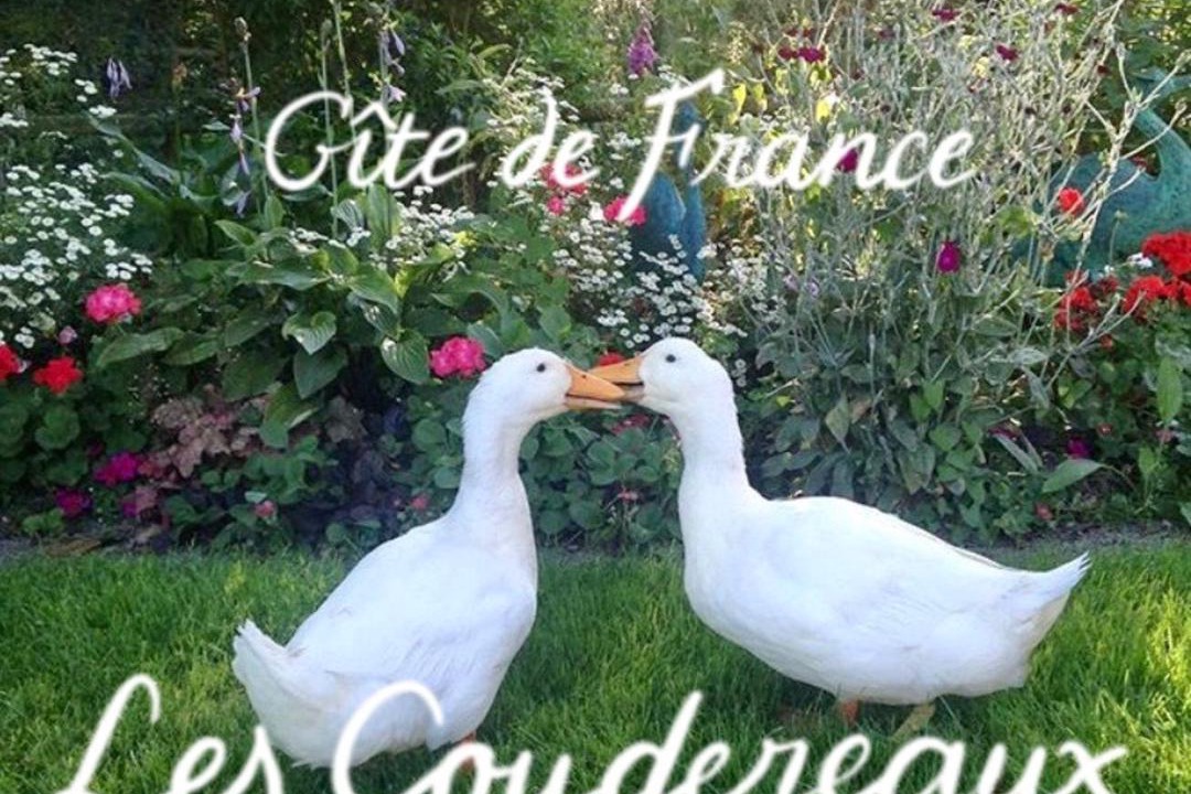 Photo of Others in Saint-Jouin-de-Blavou