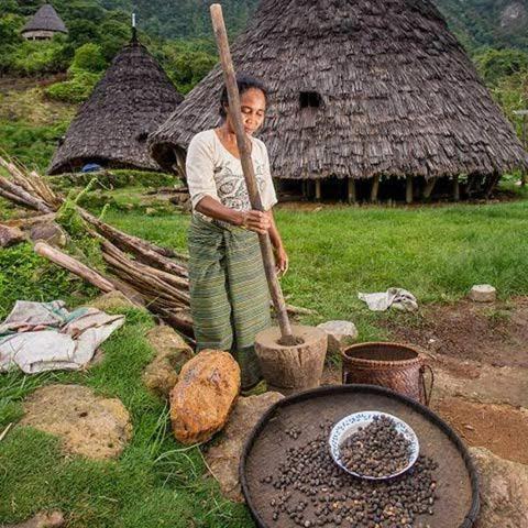 Photo of Others in Manggarai