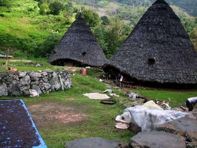 Photo of Others in Manggarai