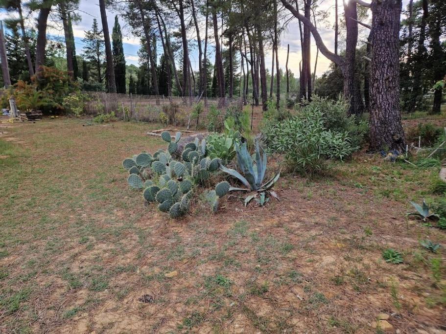 Photo of Outdoor in Mornas