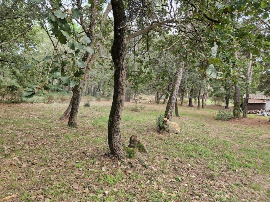 Photo of Others in Mornas