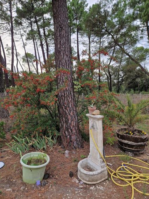 Photo of Others in Mornas