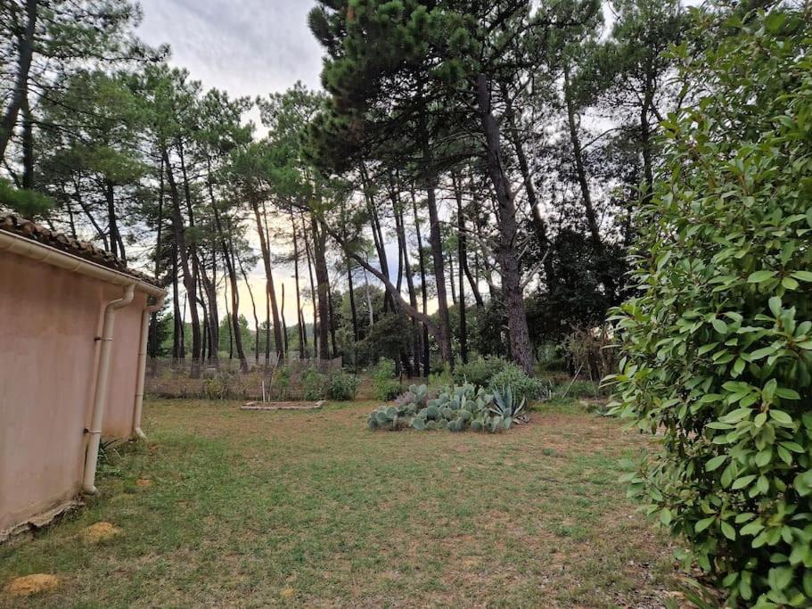 Photo of Others in Mornas