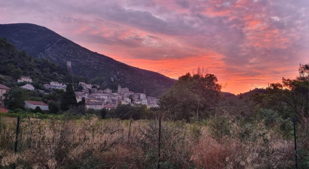 Photo of Others in Roquebrun