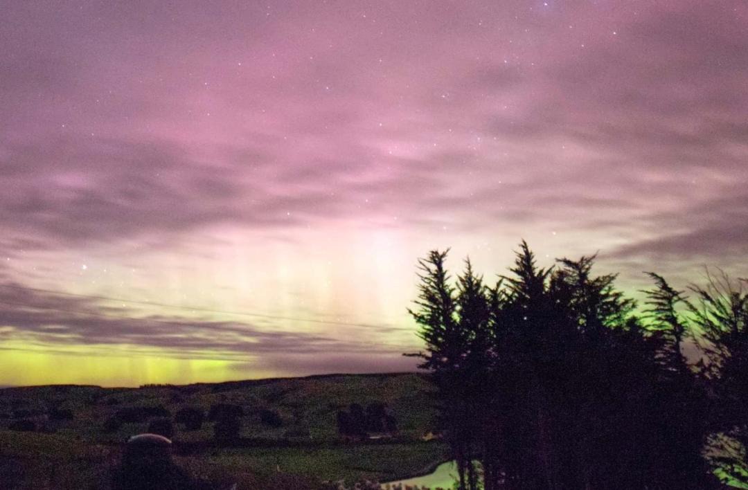 Photo of Others in Owaka