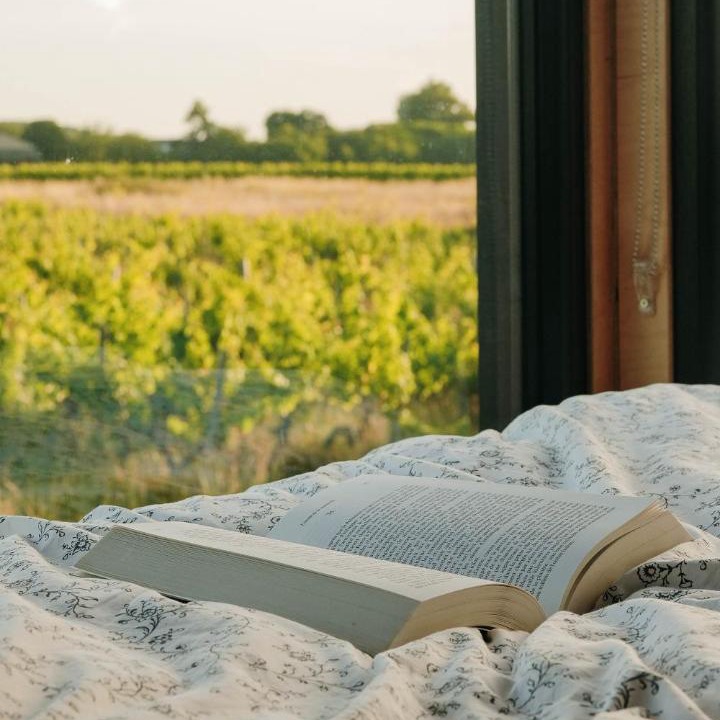 Photo of Others in Arbis