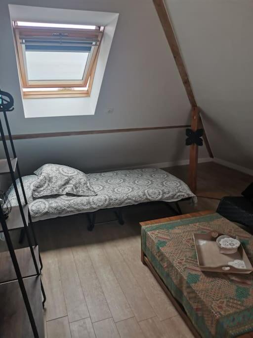 Photo of Others in Bouvines