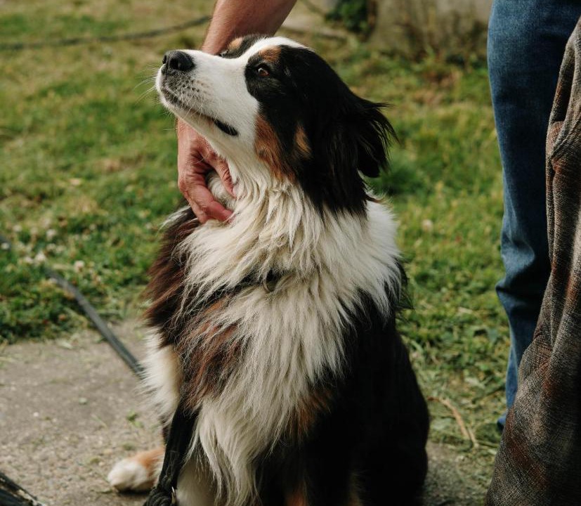 Photo of Others in Arbis