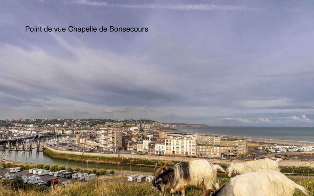 Photo of Others in Dieppe