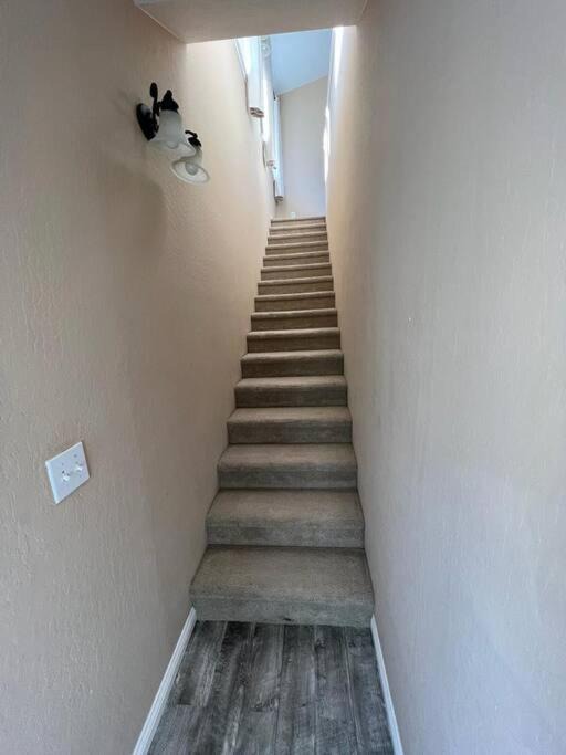 Photo of Others in Walnut Creek