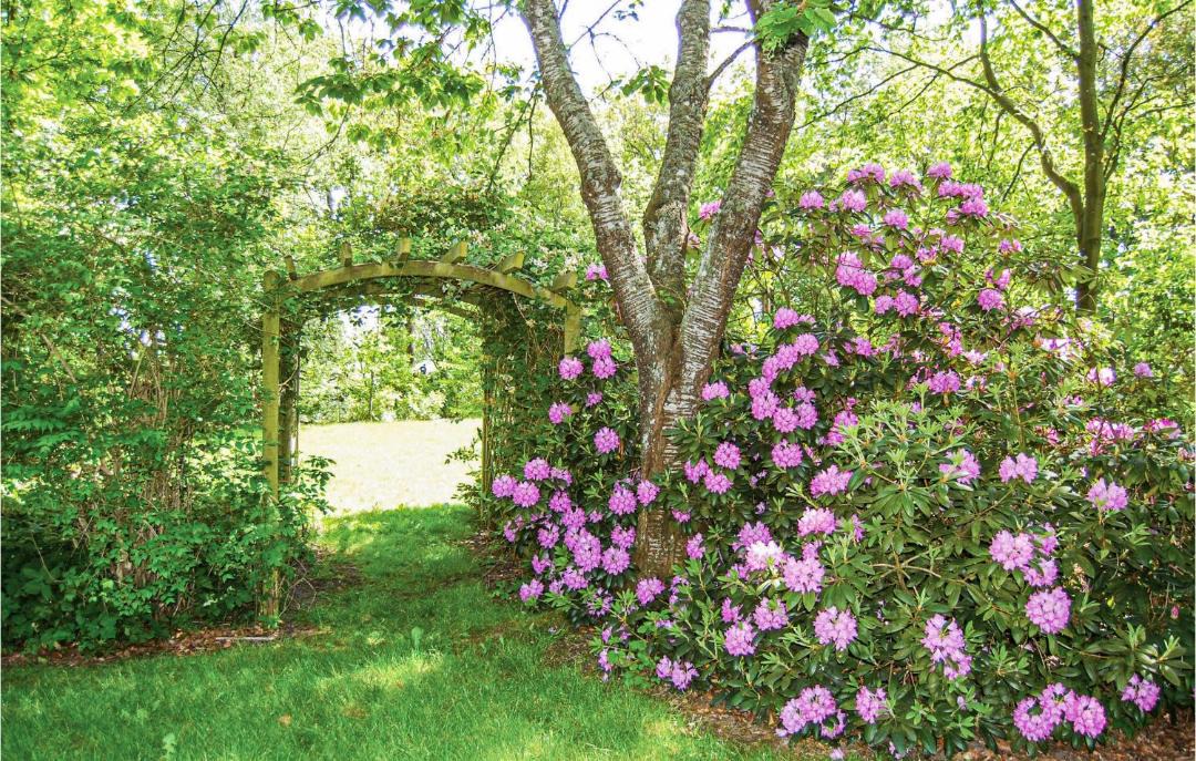 Photo of Others in Vragard