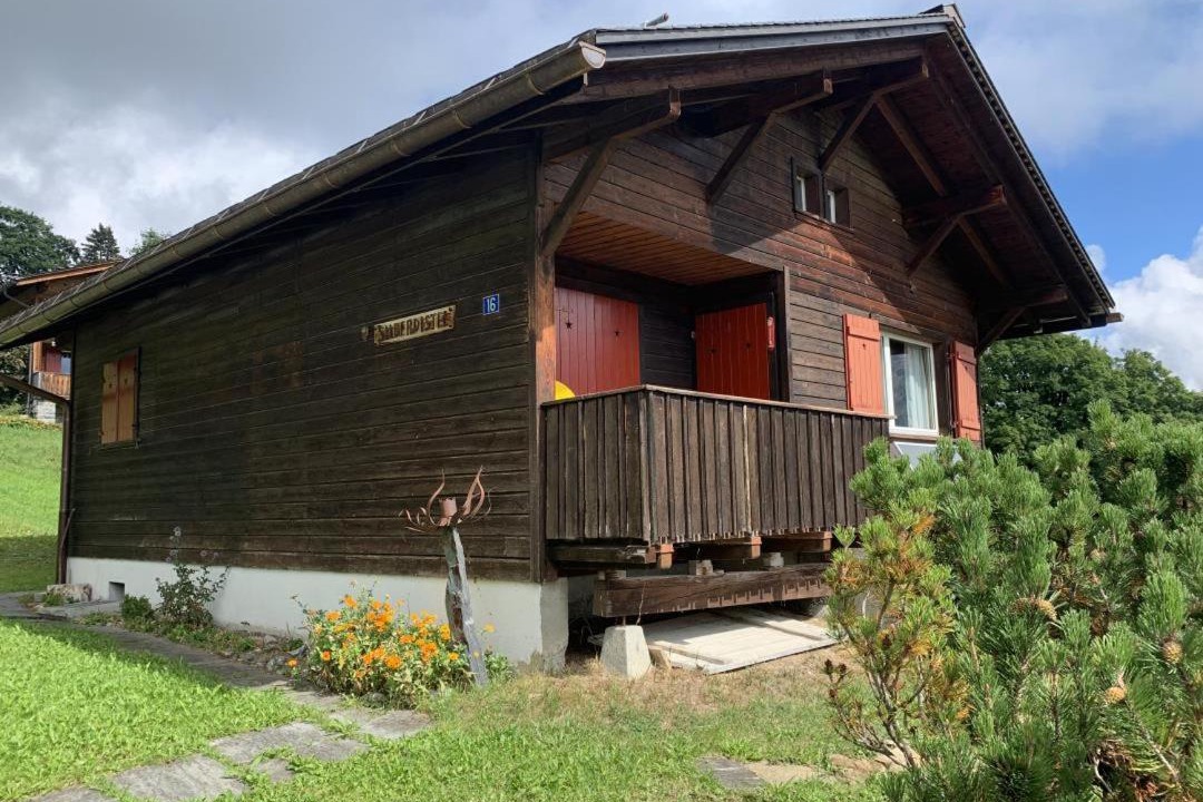 Photo of Others in Braunwald