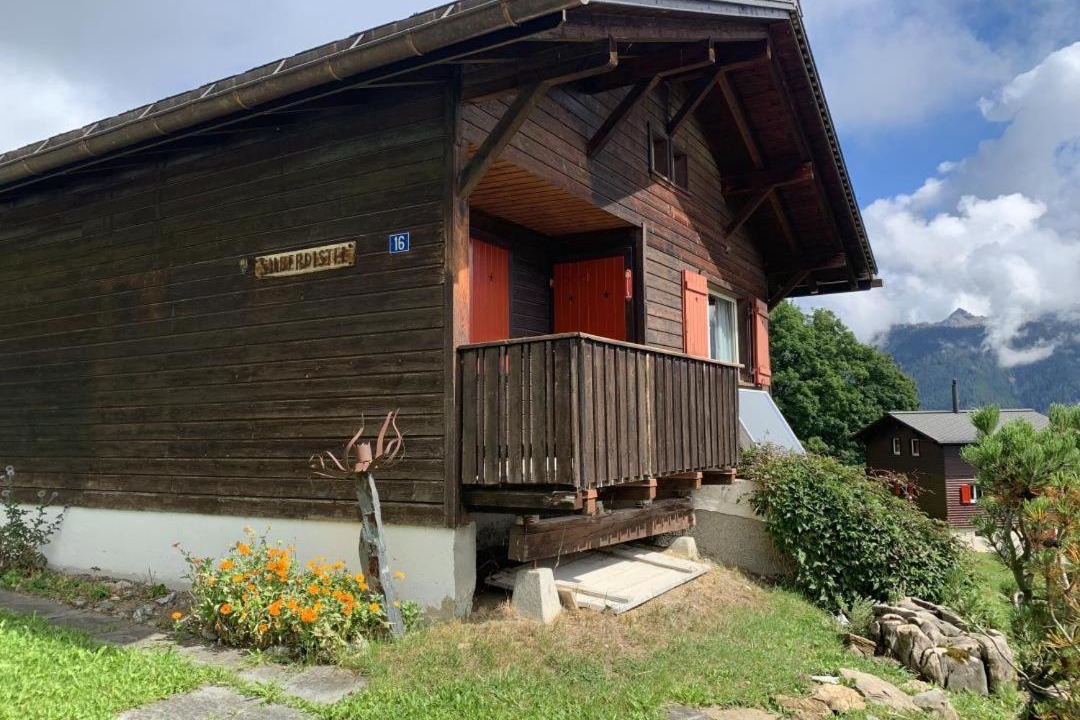 Photo of Others in Braunwald