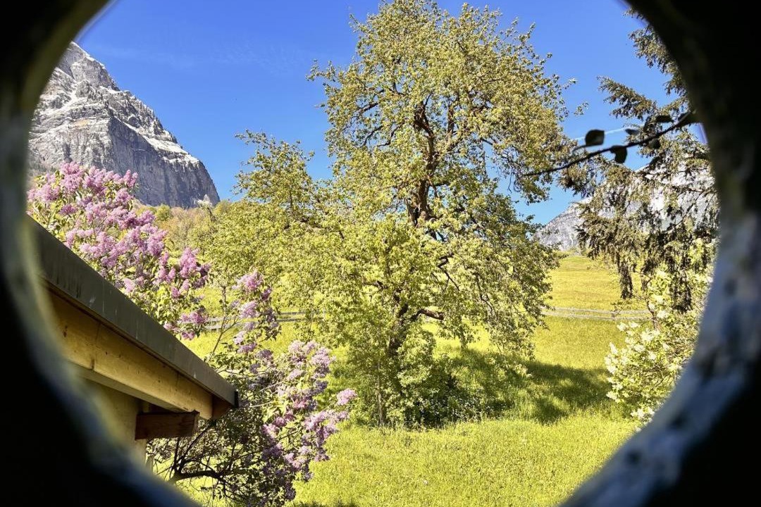 Photo of Others in Schwanden