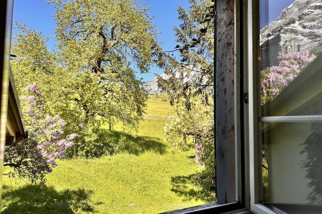 Photo of Others in Schwanden