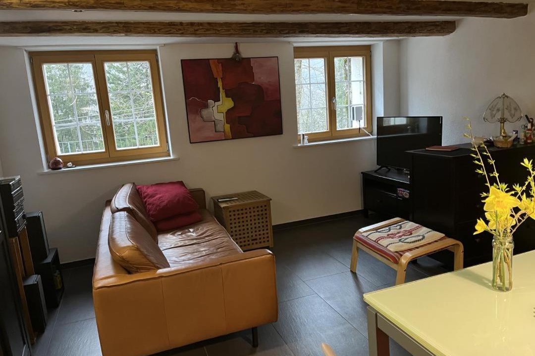 Photo of Others in Schwanden