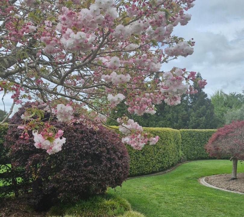 Photo of Outdoor in Tamahere