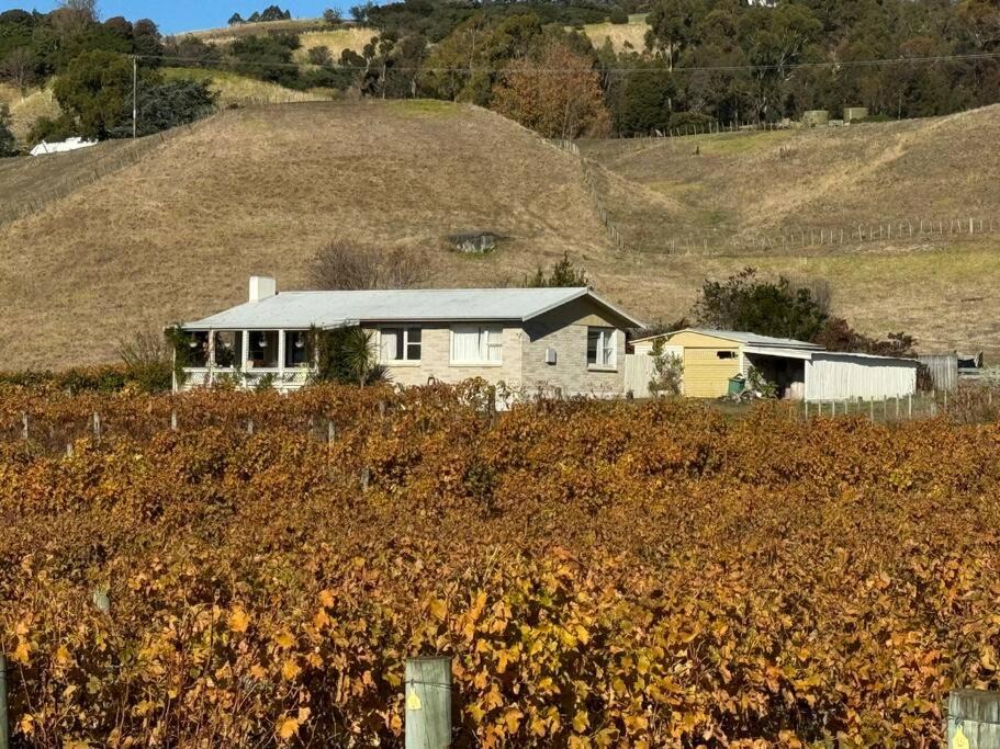 Photo of Others in Havelock North