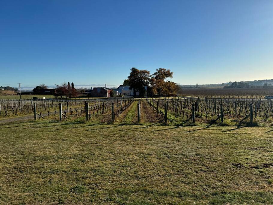 Photo of Others in Havelock North