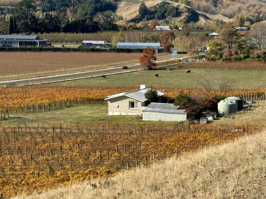 Photo of Others in Havelock North