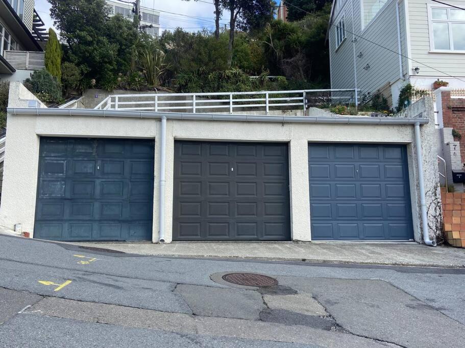 Photo of Others in Oriental Bay