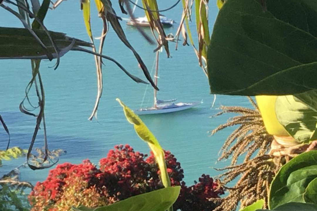 Photo of Others in Te Wahapu