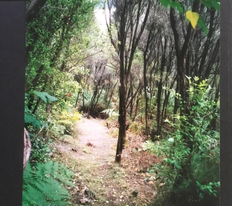 Photo of Others in Te Wahapu