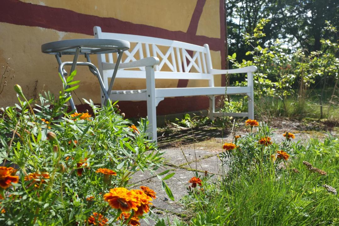 Photo of Buildings in Hov