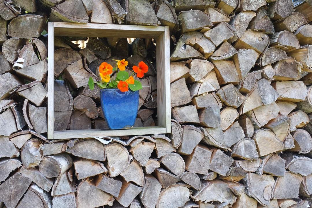 Photo of Others in Hov