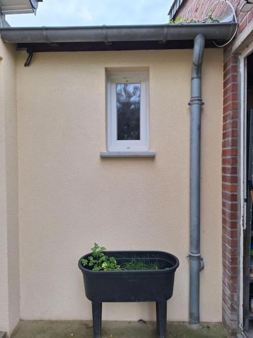 Photo of Others in Caudebec-les-Elbeuf