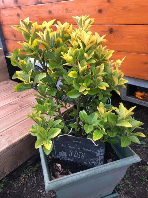 Photo of Outdoor in Coulogne