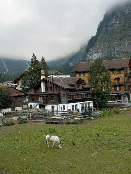 Photo of Others in Kandersteg
