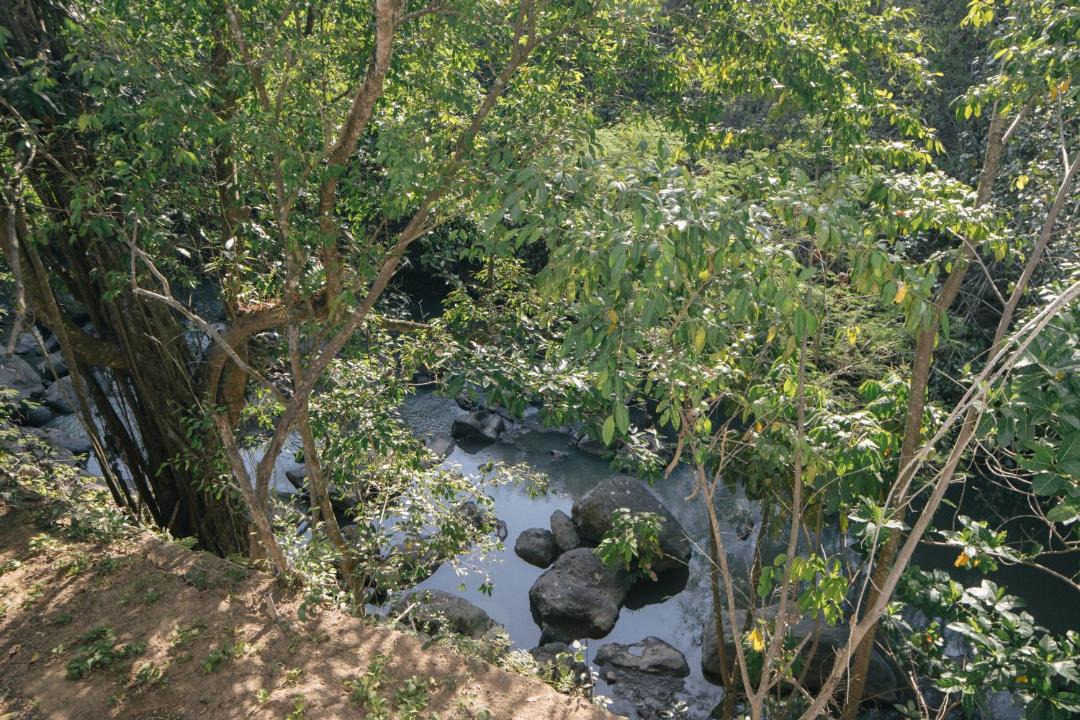 Photo of Others in Seseh