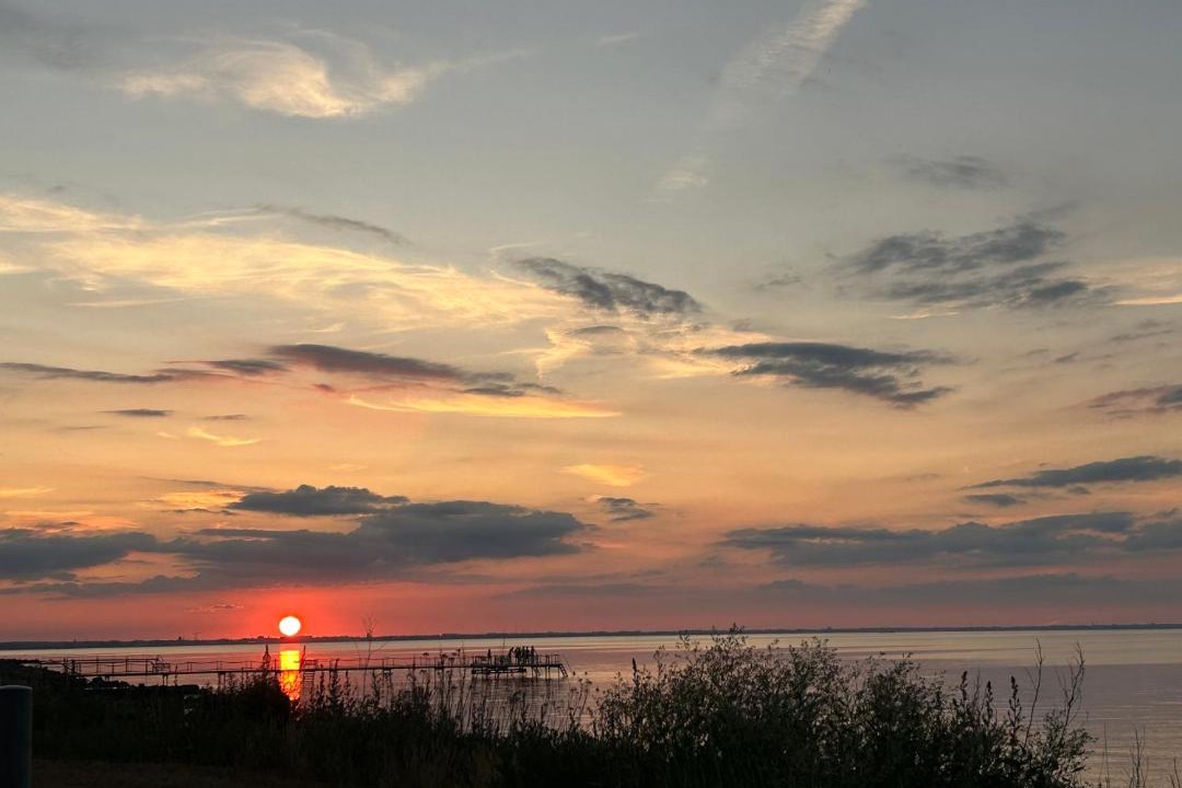 Photo of Others in Strby